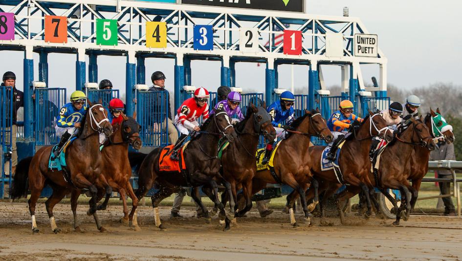 Noel Michaels handicapping, Americas Best Racing Sunday Selections, Belmont at the Big A